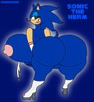 sonic the hedgehog from sega by habbodude