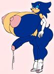 sonic the hedgehog from sega