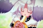  1girl ^_^ agarest_senki agarest_senki_(series) animal_ears banana bunny_ears close-up closed_eyes collar dog_ears food fruit fur_trim furry game_cg hair highres hirano_katsuyuki holding holding_fruit qua_(agarest_senki) qua_(record_of_agarest_war) record_of_agarest_war sexually_suggestive short_hair silver_hair solo strap watermark white_hair 