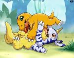 agumon digimon gabumon momiji-kun tagme