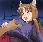 holo from spice and wolf by cl-55