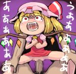 flandre_scarlet tagme touhou yukkuri