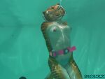 1girl anthro asphyxiation bondage bound breasts dreamworks drowning feline furry h20bondage kung_fu_panda mammal master_tigress nipples nude pool restrained rolling_eyes tigress underwater water