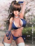 1girl alluring bare_shoulders bikini breasts brown_hair cleavage dead_or_alive gluteal_fold kasumi kasumi_(doa) long_hair oicram-art petals silf stockings swimsuit tecmo