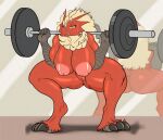 1girl avian big_ass big_breasts blaziken red_skin seii3 workout yellow_hair