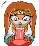 1boy 1girl :>= canastus cum cum_in_mouth cumshot echidna fellatio female hetero knuckles_the_echidna male male/female oral oral_sex orgasm penis plain_background pov sega sex sonic sonic_the_hedgehog_(series) sucking tiara tikal_the_echidna transparent_background