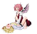 mystia_lorelei rumia touhou wings