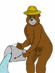  smokey smokey_the_bear tagme 