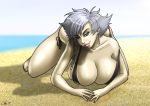 big_breasts bikini bleach breasts isane_kotetsu short_hair silver_hair wilko