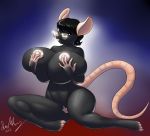 2012 anthro big_breasts breasts eyewear female furry genitals glasses house_mouse huge_breasts innie_vulva mammal marauder6272 molly_(koyote) mouse murid murine navel nipples nude original pussy rodent solo tail vulva