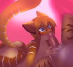  2016 anthro ass barbed_penis blue_eyes blush box-cat brown_fur brown_hair cute duo feline fur furry hair high_res male male/male mammal nude oral orange_fur penis pubic_hair raised_tail solo_focus spread_legs spreading stripes 