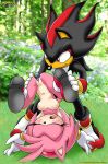 amy rose from mobius unleashed by bbmbbf