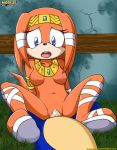 anthro bbmbbf cum_in_pussy cum_inside furry moaning mobius_unleashed nude open_mouth palcomix sega sonic_(series) sonic_team sonic_the_hedgehog sonic_the_hedgehog_(series) tikal_the_echidna vaginal