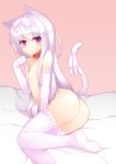  1girl animal_ears blush cat_ears cat_tail collar collarbone elbow_gloves gloves hairband highres kamoto_tatsuya lavender_hair long_hair naked_thighhighs navel no_panties nude original paw_pose purple_eyes solo stockings tail thighhighs white_legwear 