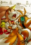 1boy 1girl aku_tojyo colored cream_the_rabbit cute furry miles_"tails"_prower orgasm sega sex sonic_(series) tojyo