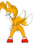 miles "tails" prower from sega