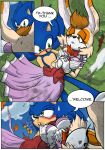 sonic the hedgehog from milf salvage (sonic doujin) by horlod (artist)