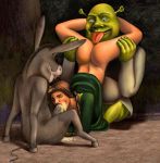 beastiality donkey donkey_(shrek) dreamworks fellatio green_skin human ogre oral princess_fiona pussylicking shrek shrek_(character) tagme threesome