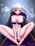1girl alternate_costume bikini female_only fire_emblem fire_emblem_awakening fire_emblem_heroes fire_emblem_warriors intelligent_systems jaxartdump looking_at_viewer nintendo official_alternate_costume purple_bikini purple_swimsuit robin_(fire_emblem) robin_(fire_emblem)_(female) robin_(summer)_(fire_emblem)_(female) swimsuit