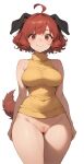 1girl ai_assisted ai_generated breasts brown_eyes brown_hair cleft_of_venus curly_hair dog_ears dog_girl dog_tail female_focus hips looking_at_viewer original original_character pussy shirt short_hair simple_background smile standing transparent_background younger_female