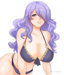 1girl 1girl 1girl absurd_res alluring alternate_costume bare_shoulders big_breasts bikini camilla_(fire_emblem) commentary female_only fire_emblem fire_emblem_fates fire_emblem_heroes fire_emblem_warriors grin groin high_res intelligent_systems long_hair looking_at_viewer nintendo nsfw18_sierra official_alternate_costume parted_lips purple_bikini purple_eyes purple_hair purple_swimsuit sierra117renner simple_background smile stomach swimsuit very_long_hair white_background
