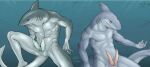 2boys anthro bald diphallia diphallism dreiker erection fish furry furry_only grey_skin hemipenes male male_only marine multi_genitalia multi_penis multiple_males nude original penis pink_penis shark underwater water