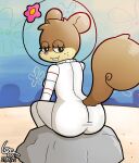 1girl 2023 ass bedroom_eyes big_ass blacksquirrel bodysuit breasts brown_body buckteeth clothed clothing dated eastern_grey_squirrel female flower freckled_face freckles grey_squirrel high_res looking_at_viewer mammal medium_breasts narrowed_eyes nickelodeon outside plant presenting presenting_hindquarters rock rodent sandy_cheeks sciurid seductive signature sitting skinsuit smile solo spongebob_squarepants tail teeth tight_clothing tree_squirrel underwater water