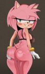 1girl amy_rose hair_rose mobian_(species) tagme