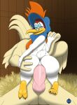 1girl anal anthro ass avian beak big_penis bird chicken duo eyewear galliform genitals glasses high_res infinityf looking_at_viewer looney_tunes male male/female miss_prissy penis phasianid warner_brothers