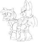 amy_rose dildo_in_pussy leatherruffian lesbian_sex rouge_the_bat sega sketch sonic_the_hedgehog_(series) vaginal