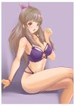 1girl 1girl alluring bikini blush brown_hair cleavage female_focus fire_emblem fire_emblem_awakening high_res intelligent_systems long_hair looking_at_viewer medium_breasts nintendo open_mouth sitting sumia_(fire_emblem) swimsuit