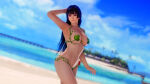 1girl alluring beach big_breasts big_breasts black_hair dead_or_alive dead_or_alive_6 dead_or_alive_xtreme_venus_vacation hime_cut leaf_bikini long_hair micro_bikini navel nyotengu swimsuit tecmo under_boob