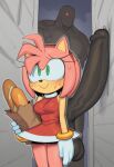 1_boy ai_generated amy_rose big_penis black_male mobian_(species) mobian_hedgehog tagme