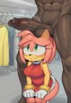 ai_generated amy_rose mobian_(species) mobian_hedgehog sonic_the_hedgehog_(series) tagme