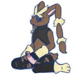 1boy erection furry lopunny male male_only mega_evolution mega_lopunny mega_pokemon no_humans pantyhose pink_eyes pokemon pokemon_(game) pokemon_(species) pokemon_oras simple_background white_background