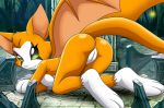 bbmbbf dust:_an_elysian_tail fidget fidget_(elysian_tail) fur34 fur34* palcomix