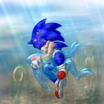 1boy 2004 ambiguous_gender asphyxiation chaos_(sonic) cum drowning fellatio gree hedgehog male male_only oral oral_sex sega sex sonic_adventure sonic_the_hedgehog sonic_the_hedgehog_(series) underwater
