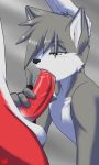 2boys anthro anthro_only big_penis black_nose canine cute erection fellatio fingerless_gloves fox furry gay gloves green_eyes grey_background grey_hair hair male male_only oral oral_sex penis redwolfxiii saliva sex simple_background solo_focus testicles yaoi