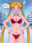 1girl accurate_art_style adult_swim alluring bikini bishoujo_senshi_sailor_moon bishoujo_senshi_sailor_moon_r bishoujo_senshi_sailor_moon_r_the_movie bishoujo_senshi_sailor_moon_s bishoujo_senshi_sailor_moon_s_the_movie bishoujo_senshi_sailor_moon_supers blonde_hair blue_eyes christmas cleavage medium_breasts michael_benson outside pin_up santa_bikini snow speech_bubble toei_animation toonami usagi_tsukino viz_media