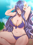 1girl 1girl 1girls alluring alternate_costume big_breasts bikini blurry blurry_background camilla_(fire_emblem) cleavage female_only fire_emblem fire_emblem_fates fire_emblem_heroes fire_emblem_warriors flower hair_flower hair_ornament hair_over_one_eye hibiscus high_res intelligent_systems long_hair looking_at_viewer navel nintendo official_alternate_costume parted_lips purple_bikini purple_eyes purple_hair purple_swimsuit rinku_bny swimsuit
