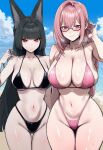 2_girls ai_generated animal_ears bangs beach big_breasts bikini black_bikini black_hair blue_sky blunt_bangs breasts cleavage cloud day eyebrows_visible_through_hair glasses highleg highleg_bikini hoshimi_miyabi long_hair looking_at_viewer multi-strapped_bikini multiple_females multiple_girls navel outside pink_bikini pink_hair red_eyes skindentation sky smile string_bikini swimsuit thigh_gap truck-kun_art tsukishiro_yanagi zenless_zone_zero