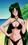 1girl accurate_art_style adult_swim alluring beach big_breasts bikini bishoujo_senshi_sailor_moon bishoujo_senshi_sailor_moon_r bishoujo_senshi_sailor_moon_s bishoujo_senshi_sailor_moon_s_the_movie bishoujo_senshi_sailor_moon_supers bishoujo_senshi_sailor_moon_supers_the_movie cleavage crimson_eyes dark_green_hair nightcore_(artist) ocean pin_up setsuna_meiou toei_animation toonami viz_media
