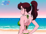 1girl accurate_art_style adult_swim alluring beach big_breasts bikini bishoujo_senshi_sailor_moon bishoujo_senshi_sailor_moon_r bishoujo_senshi_sailor_moon_r_the_movie bishoujo_senshi_sailor_moon_s bishoujo_senshi_sailor_moon_s_the_movie bishoujo_senshi_sailor_moon_supers bishoujo_senshi_sailor_moon_supers_the_movie blue_sky brown_hair cleavage green_eyes makoto_kino michael_benson ocean pin_up toei_animation toonami viz_media