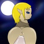 anus ass big_penis blonde_hair blue_eyes bluelimelight bottomless cum full_moon looking_back mila_(the_wind_waker) moon night penis pov pov_ass pussy the_legend_of_zelda the_wind_waker vaginal