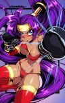 1girl 1girl alternate_costume bikini bikini_armor cosplay impossible_clothes long_hair purple_hair revealing_clothes shantae shantae_(character)