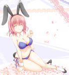 1girl animal_ears bikini breasts bunny_ears bunnysuit cherry_blossoms cleavage closed_eyes female hair high_heels navel petals pink_hair saigyouji_yuyuko shoes short_hair sitting smile solo sotogawa_max swimsuit touhou