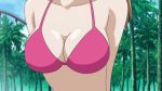 1girl animated animated_gif anime beach bikini bounce bouncing bouncing_breasts bra breasts brown_hair ecchi first_porn_of_character gif kampfer lowres medium_breasts outside pink_bra red_bra roller_coaster sakura_kaede shiny skin swimsuit tree underwear