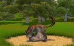 beastiality jungle_penetration_game knotted_penis tagme wolf