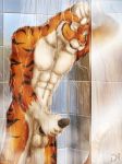 abs black_penis cum cute dream_and_nightmare feline furry male masturbation muscles nude penis sheath shower solo standing testicles tiger water wet