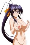 akeno_himejima high_school_dxd tagme